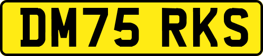 DM75RKS