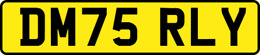 DM75RLY