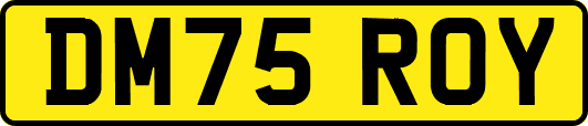 DM75ROY