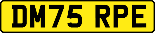 DM75RPE
