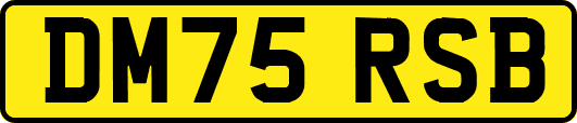 DM75RSB