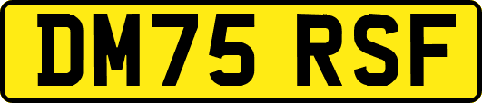 DM75RSF