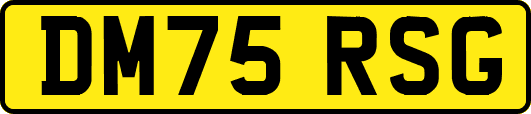 DM75RSG