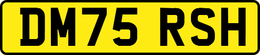 DM75RSH