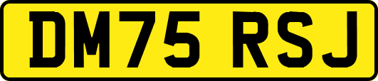 DM75RSJ