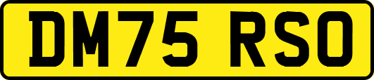 DM75RSO