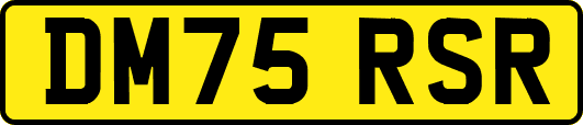 DM75RSR