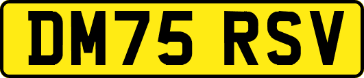 DM75RSV