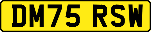 DM75RSW