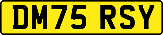 DM75RSY