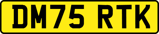 DM75RTK