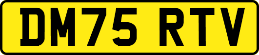 DM75RTV