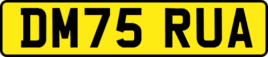 DM75RUA