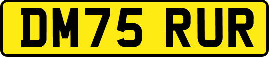 DM75RUR