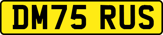 DM75RUS