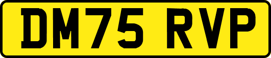 DM75RVP