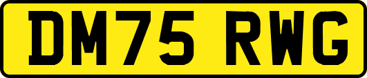 DM75RWG