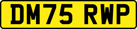DM75RWP
