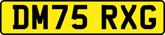DM75RXG