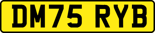 DM75RYB