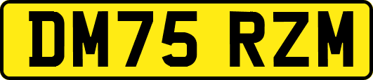 DM75RZM