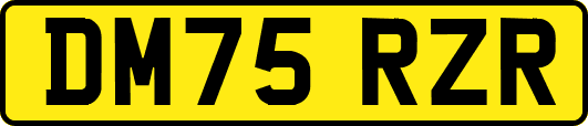 DM75RZR
