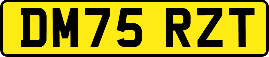 DM75RZT