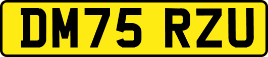 DM75RZU