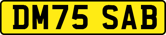DM75SAB
