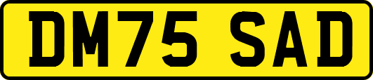 DM75SAD