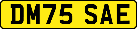 DM75SAE