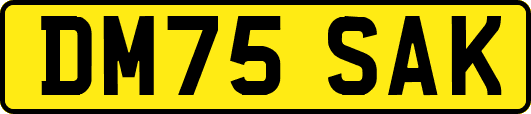 DM75SAK