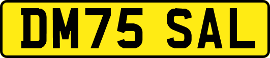 DM75SAL