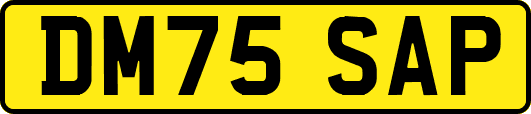 DM75SAP