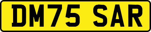 DM75SAR