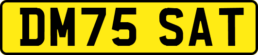 DM75SAT