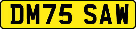 DM75SAW