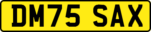 DM75SAX