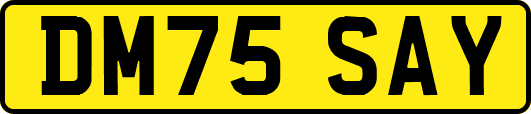 DM75SAY