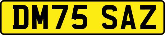 DM75SAZ