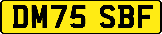 DM75SBF