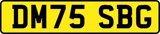 DM75SBG
