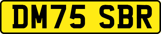DM75SBR