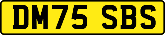 DM75SBS