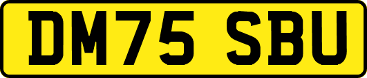 DM75SBU