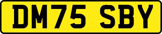DM75SBY