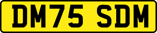DM75SDM