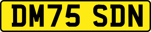 DM75SDN