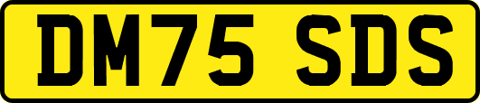 DM75SDS