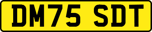 DM75SDT